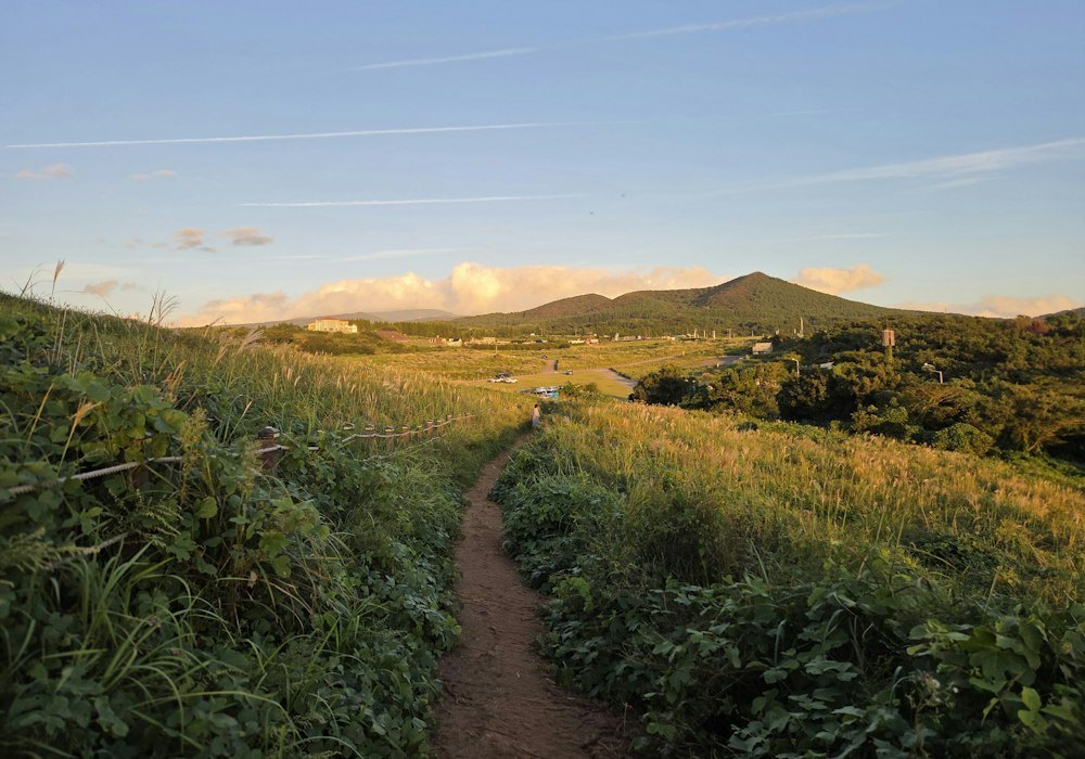 Easy Outdoor Walks to Build Daily Fitness