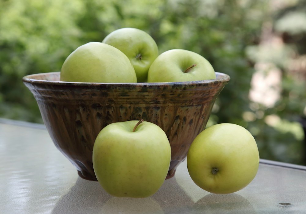 Wellness and Nutrition
